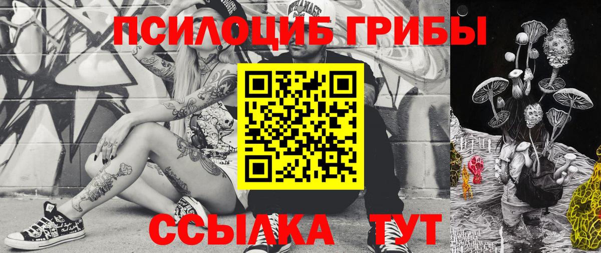 Псилоцибиновые грибы Psilocybine cubensis  где найти   Сертолово  Вход с VPN  Псилоцибиновые грибы Psilocybe 