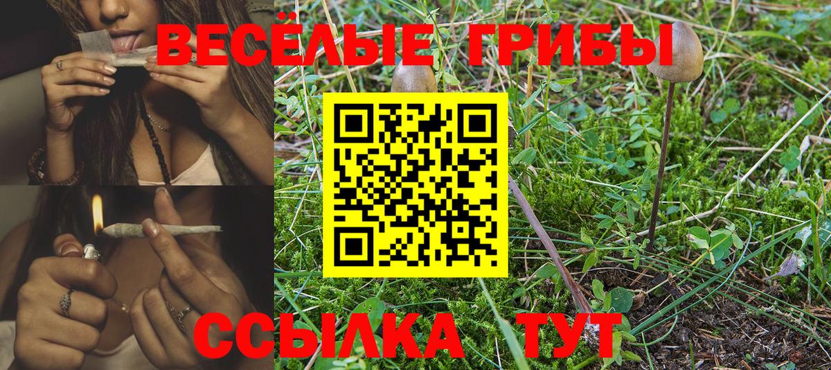 Гашиш  Codein  Alpha-PVP СК кристаллы  Меф МЯУ МЯУ кристаллы  Вейп ТГК  Cocaine  Сертолово  Вход с VPN  Экстази  Конопля 