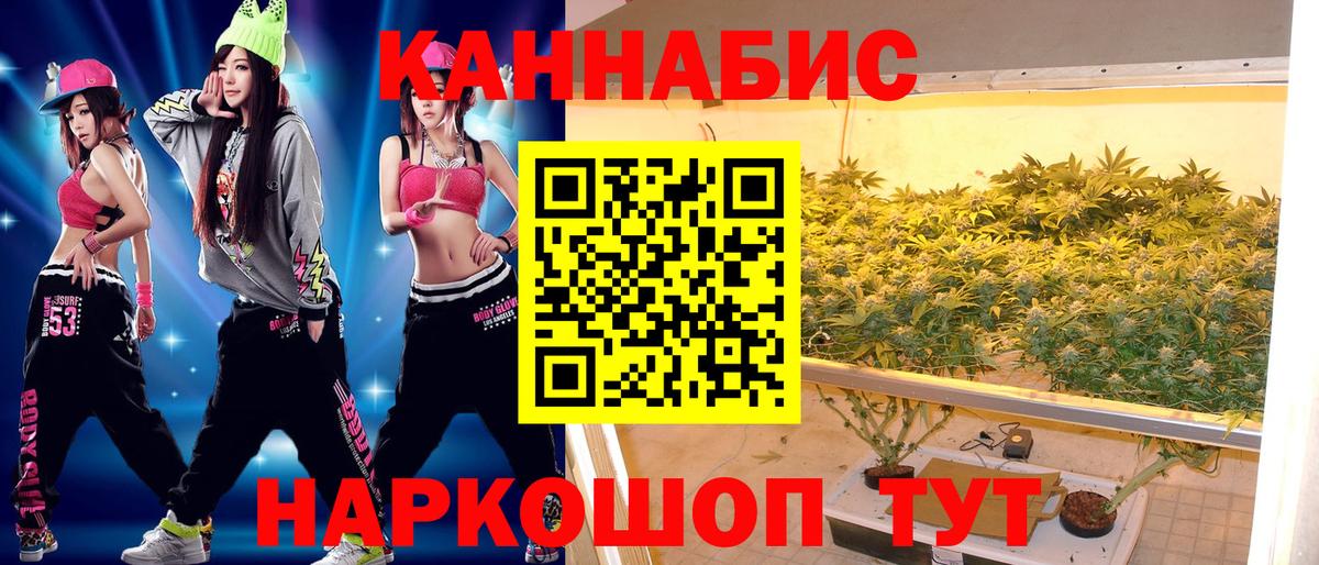 Каннабис семена  МАРИХУАНА THC 21%  Конопля White Widow  Вход с VPN  Сертолово 